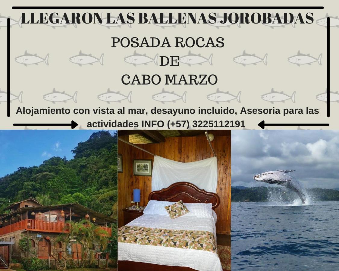 Posada Turistica Rocas De Cabo Marzo 바이아 솔라노 외부 사진